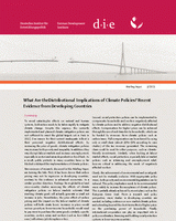 What are the distributional implications of climate policies? Recent evidence from developing countries