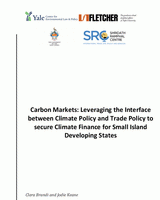 Carbon markets: leveraging the interface between climate policy and trade policy to secure climate finance
