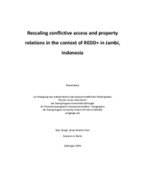 Rescaling conflictive access and property relations in the context of REDD+ in Jambi, Indonesia