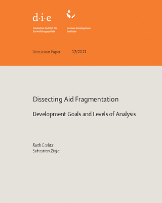 Dissecting aid fragmentation: development goals and levels of analysis