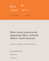 Which factors determine the upgrading of micro, small and medium-sized enterprises? Evidence from Egypt, India and the Philippines