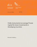 Public instruments to leverage private capital for green investments in developing countries