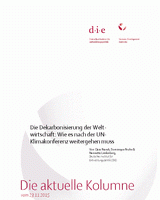 Die Dekarbonisierung der Weltwirtschaft: Wie es nach der UN-Klimakonferenz weitergehen muss