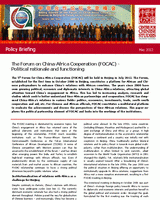 The Forum on China-Africa Cooperation (FOCAC): political rationale and functioning