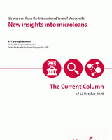 New insights into microloans