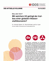 Mit welchem H2 gelingt der Aufbau einer globalen Wasserstoffökonomie?