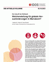 Weichenstellung für globale Herausforderungen in Marrakech?