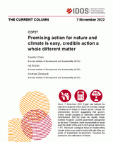 Promising action for nature and climate is easy, credible action a whole different matter