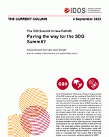 Paving the way for the SDG Summit?