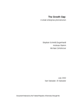 The growth gap: a small enterprise phenomenon The growth gap: a small enterprise phenomenon