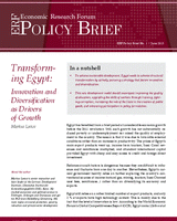 Transforming Egypt: innovation and diversification as drivers of growth