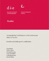 Sustainability certification in the Indonesian palm oil sector: benefits and challenges for smallholders