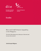Micro and small enterprise upgrading in the Philippines: the role of the entrepreneur, enterprise, networks and business environment