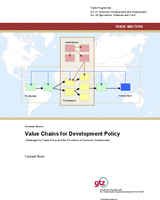 Value Chains for Development Policy: Challenges for Trade Policy and the Promotion of Economic Development