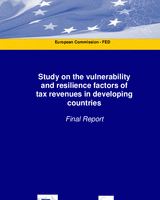 Study on the vulnerability and resilience factors of tax revenues in developing countries
